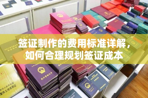 丁青签证制作的费用标准详解，如何合理规划签证成本